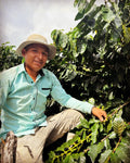 Bolivia Caranavi Rosita Geisha
