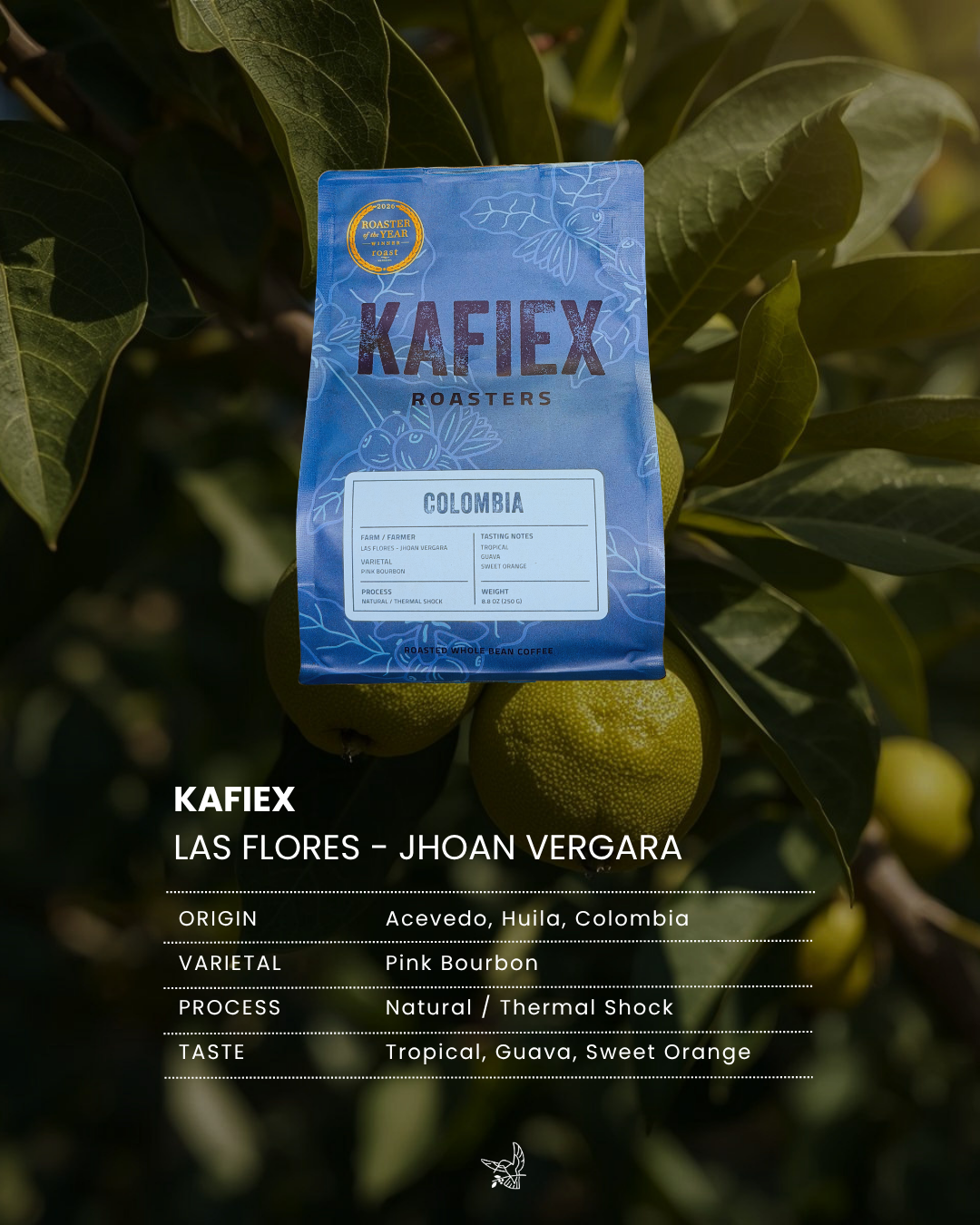Kafiex - Las Flores